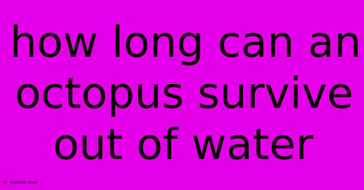 How Long Can An Octopus Survive Out Of Water