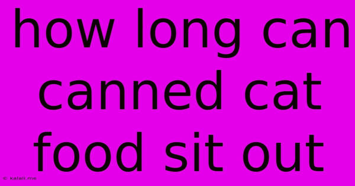 How Long Can Canned Cat Food Sit Out