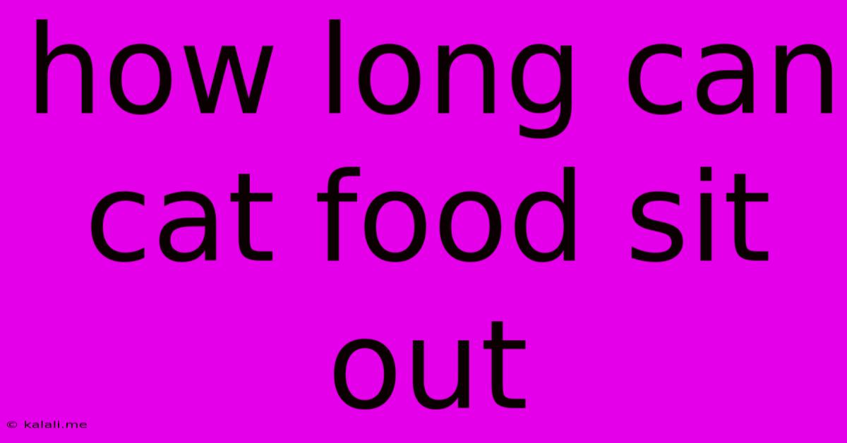 How Long Can Cat Food Sit Out