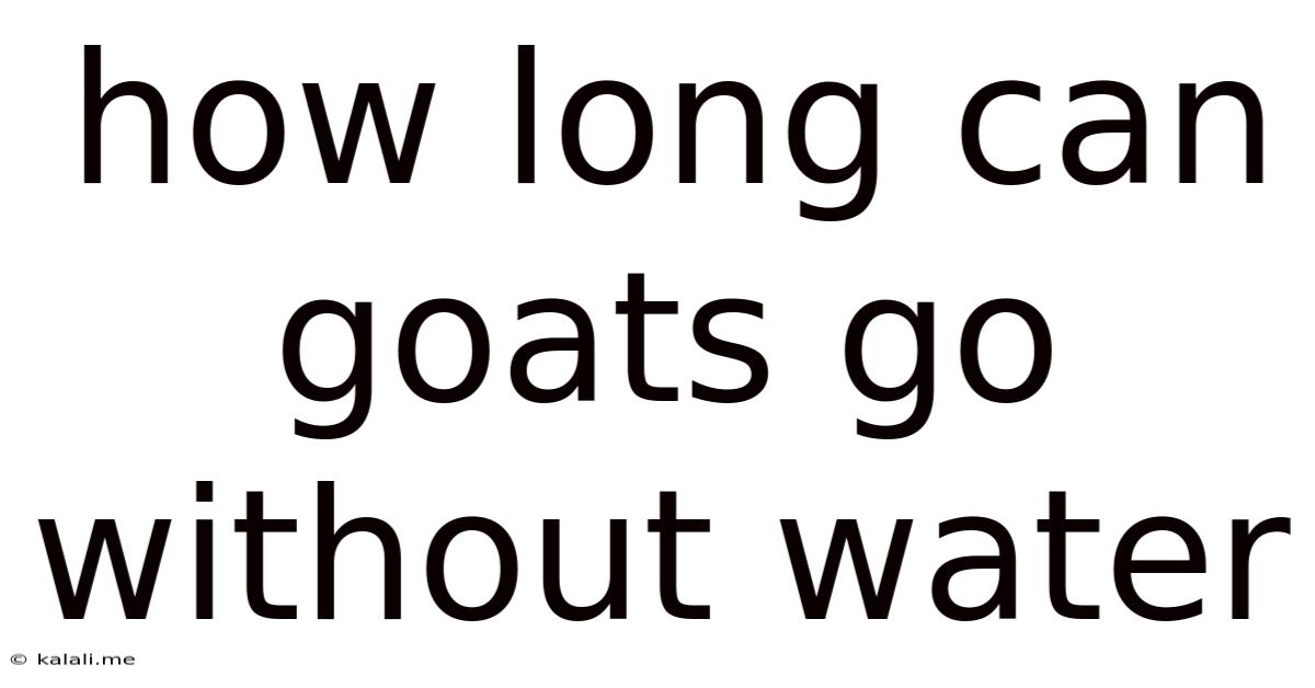 How Long Can Goats Go Without Water