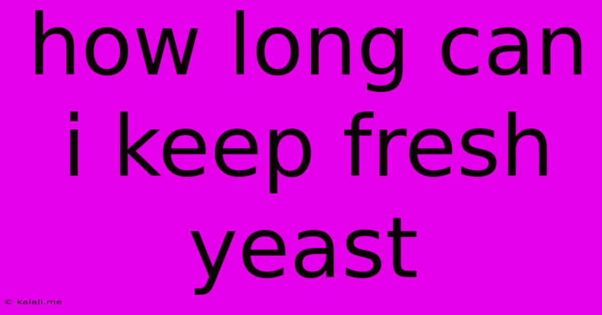 How Long Can I Keep Fresh Yeast