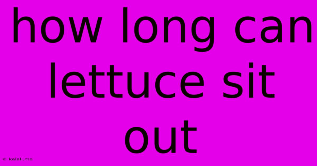 How Long Can Lettuce Sit Out