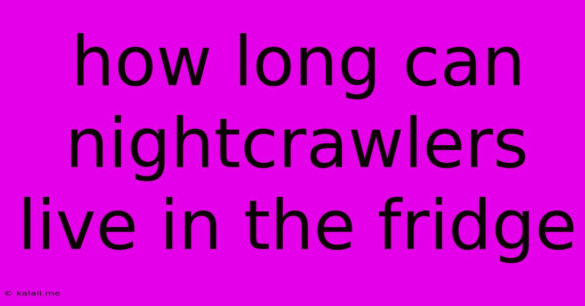 How Long Can Nightcrawlers Live In The Fridge