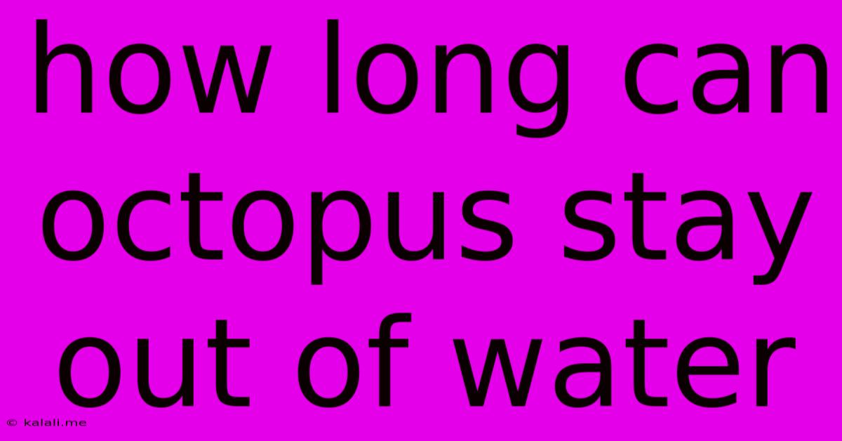 How Long Can Octopus Stay Out Of Water