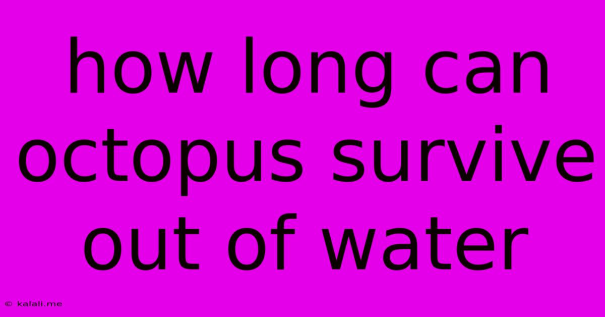 How Long Can Octopus Survive Out Of Water