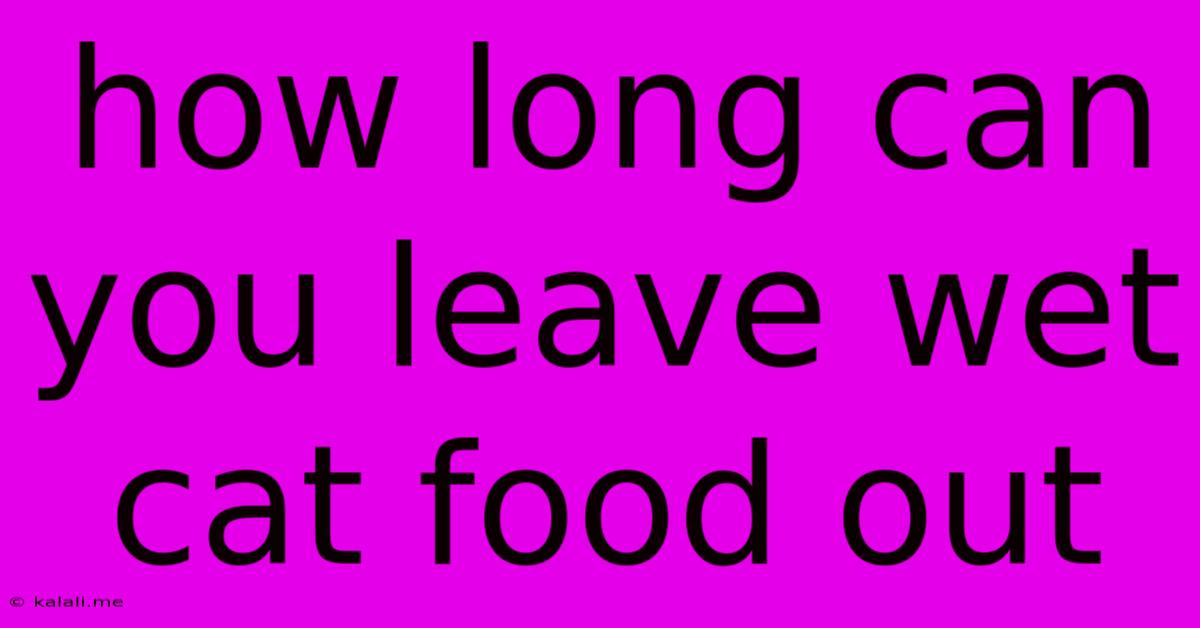 How Long Can You Leave Wet Cat Food Out