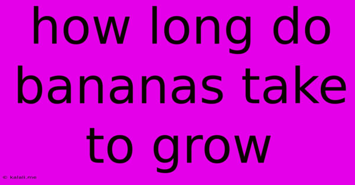 How Long Do Bananas Take To Grow