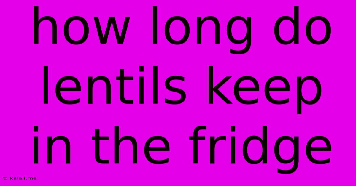 How Long Do Lentils Keep In The Fridge