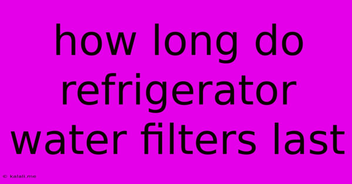 How Long Do Refrigerator Water Filters Last