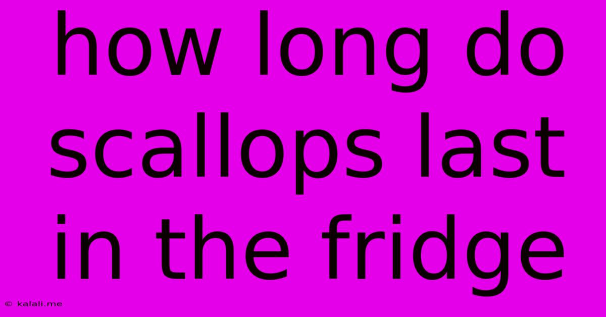 How Long Do Scallops Last In The Fridge