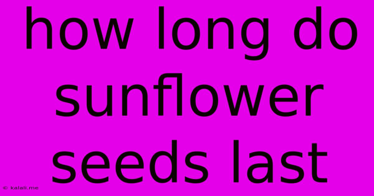How Long Do Sunflower Seeds Last