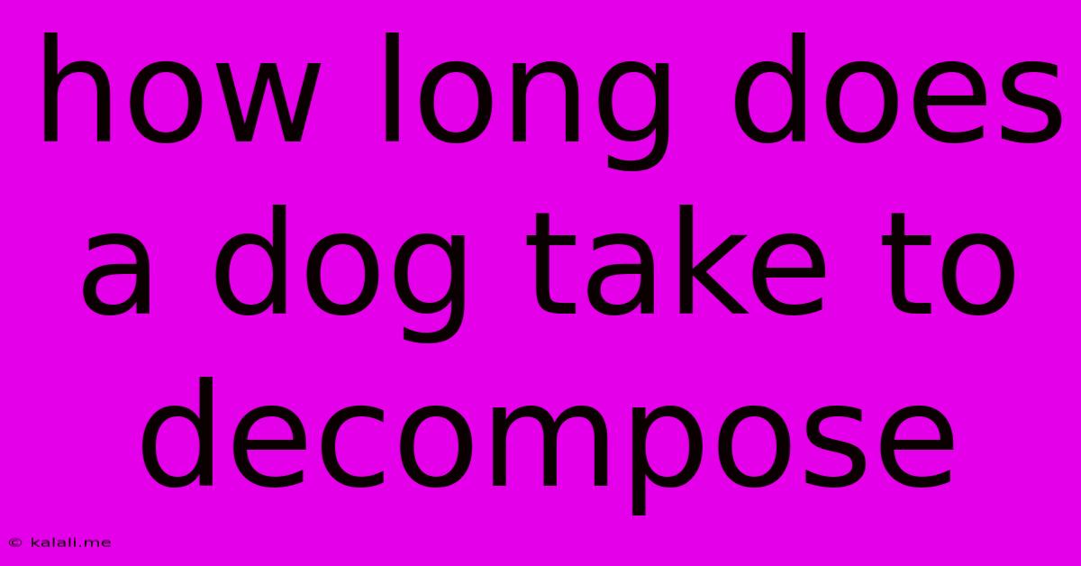 How Long Does A Dog Take To Decompose