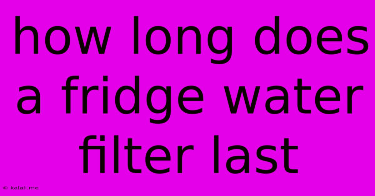 How Long Does A Fridge Water Filter Last
