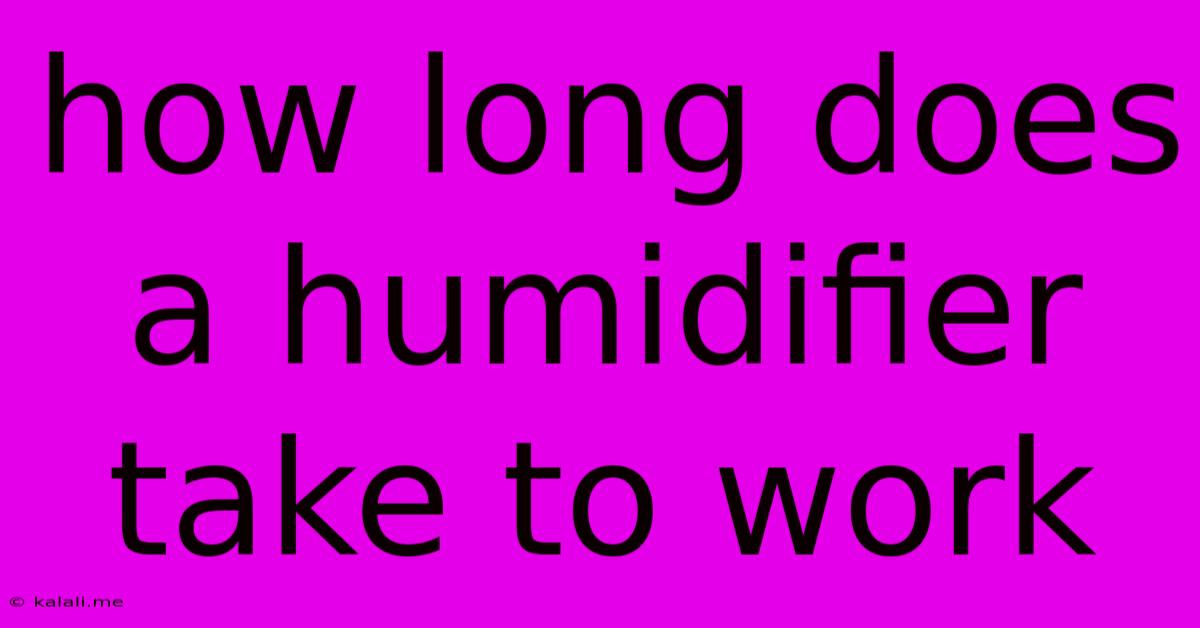 How Long Does A Humidifier Take To Work