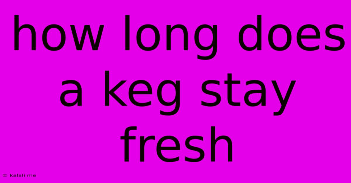 How Long Does A Keg Stay Fresh