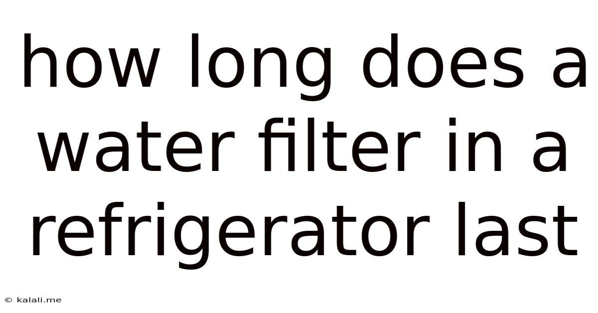 How Long Does A Water Filter In A Refrigerator Last