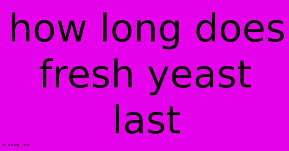 How Long Does Fresh Yeast Last