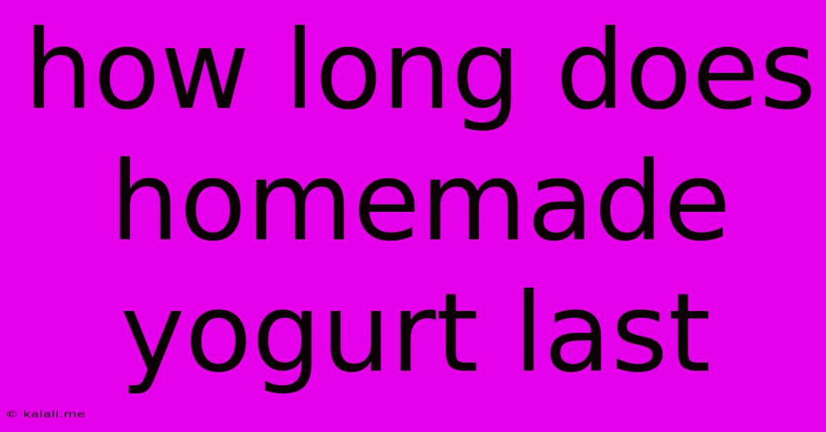 How Long Does Homemade Yogurt Last