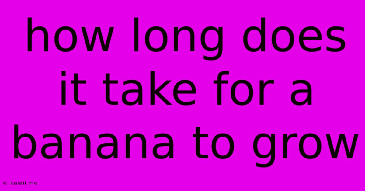 How Long Does It Take For A Banana To Grow