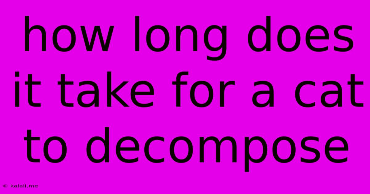How Long Does It Take For A Cat To Decompose
