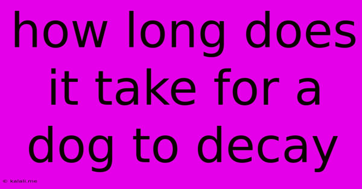 How Long Does It Take For A Dog To Decay