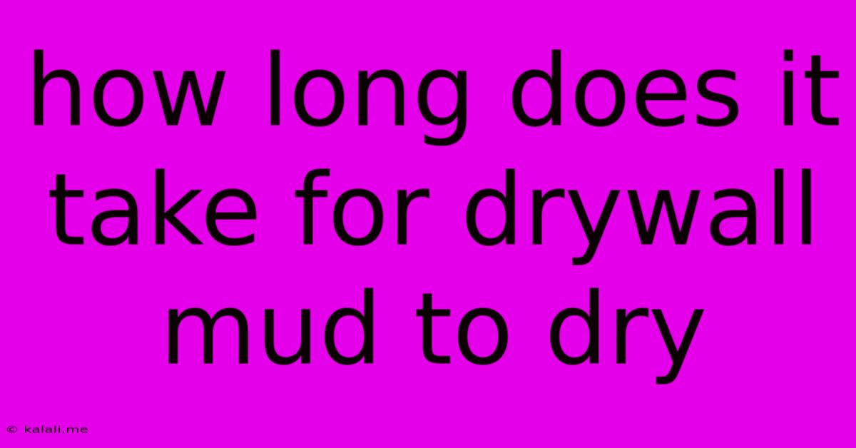 How Long Does It Take For Drywall Mud To Dry