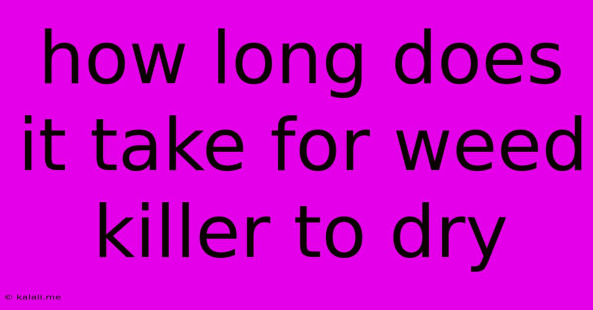 How Long Does It Take For Weed Killer To Dry