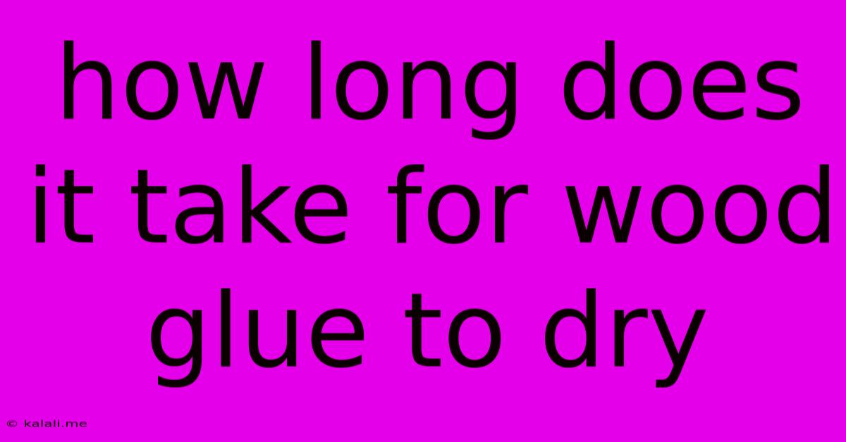 How Long Does It Take For Wood Glue To Dry