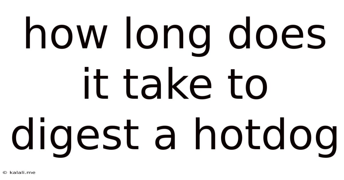 How Long Does It Take To Digest A Hotdog