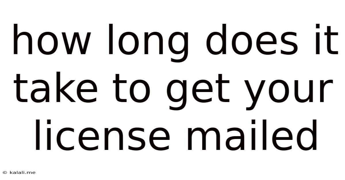 How Long Does It Take To Get Your License Mailed