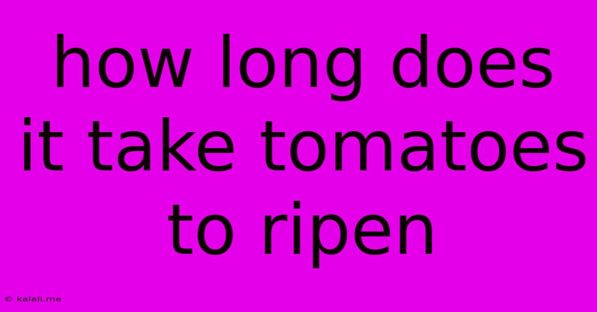 How Long Does It Take Tomatoes To Ripen