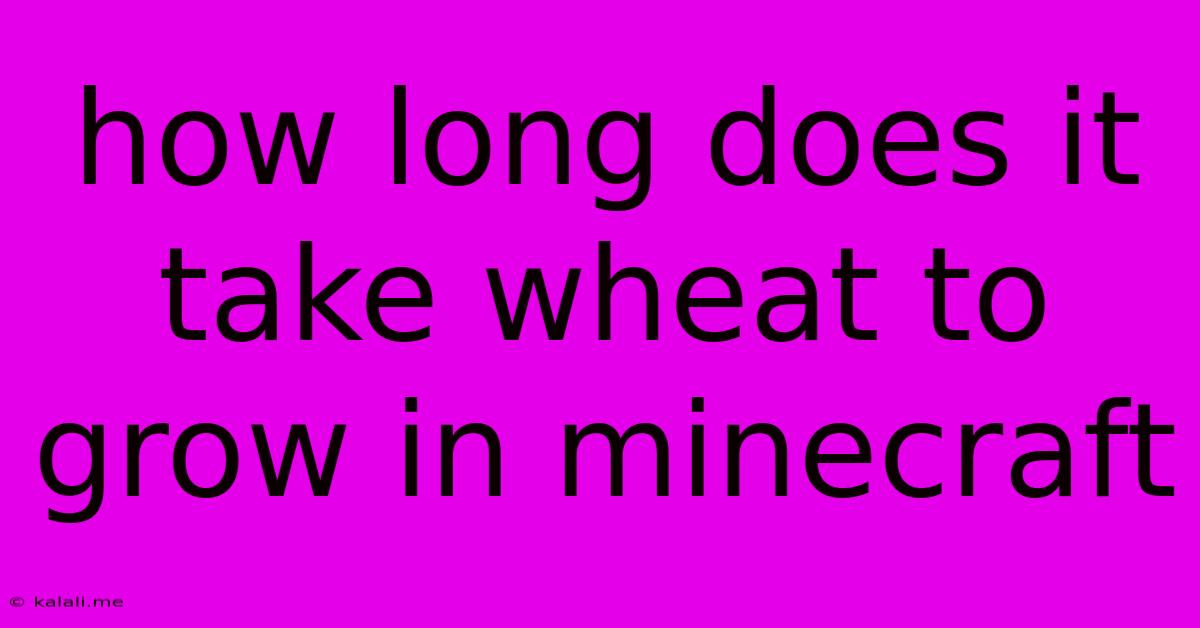 How Long Does It Take Wheat To Grow In Minecraft