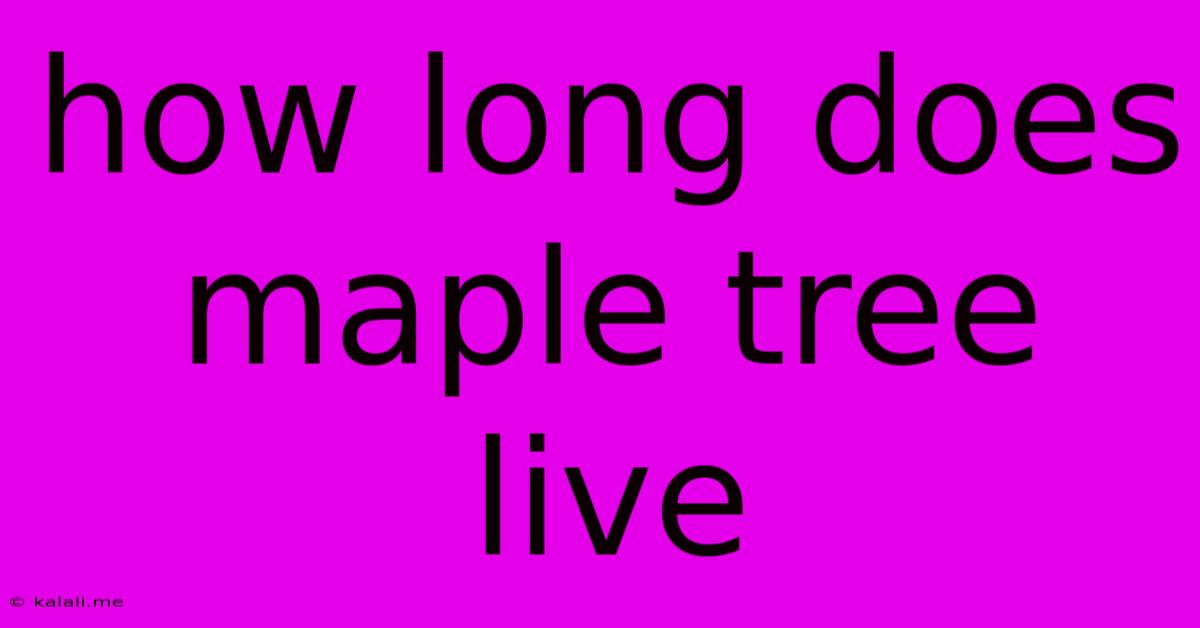How Long Does Maple Tree Live