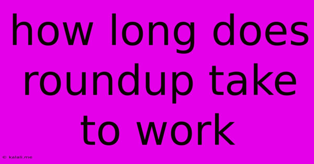 How Long Does Roundup Take To Work