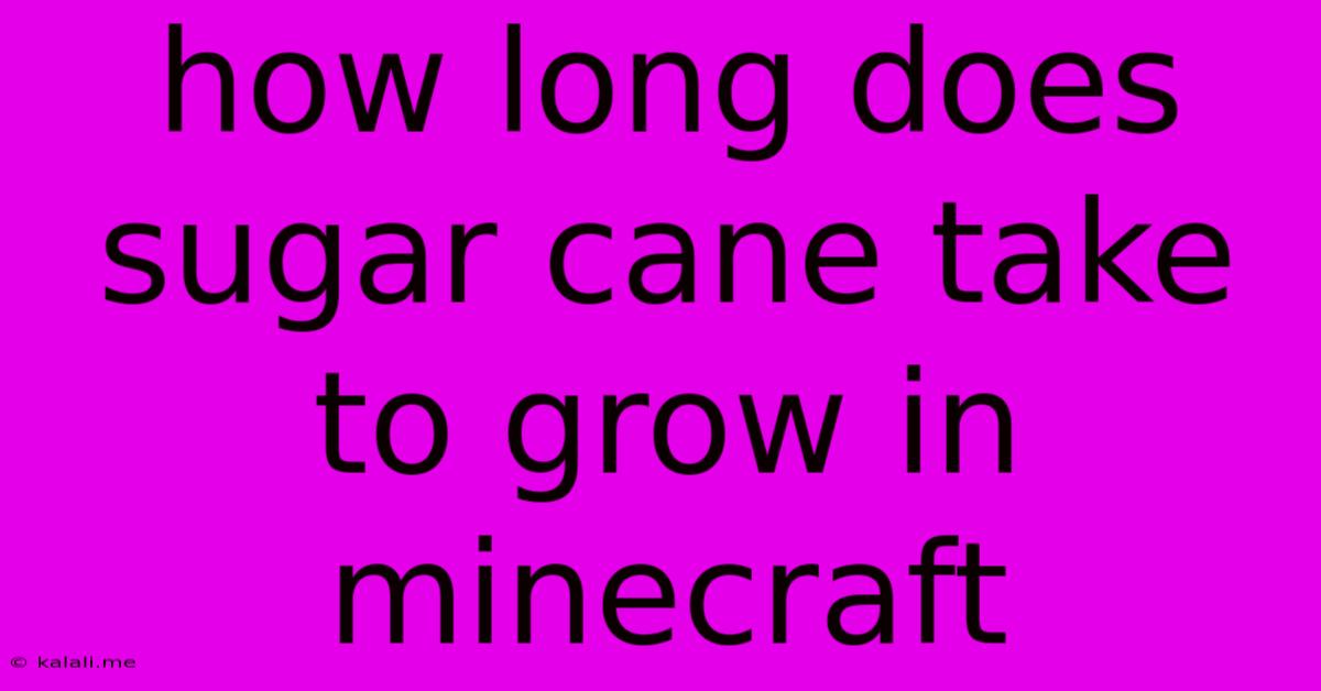 How Long Does Sugar Cane Take To Grow In Minecraft