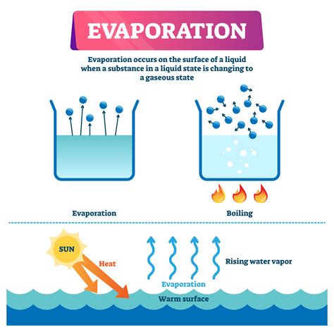 How Long Does Water Take To Evaporate