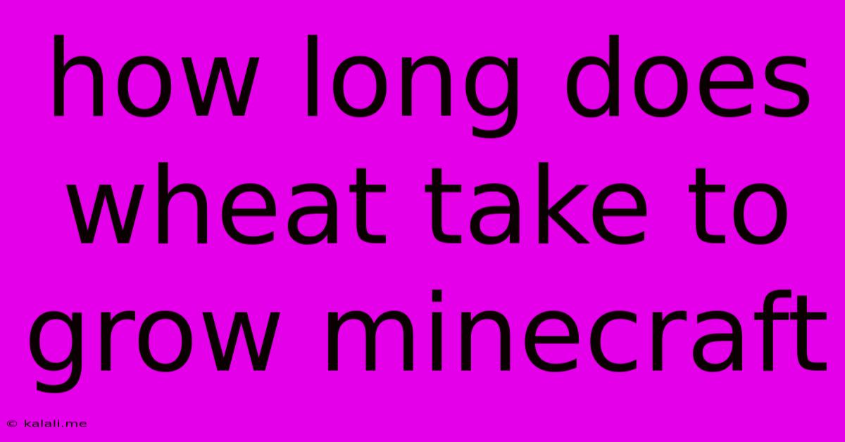 How Long Does Wheat Take To Grow Minecraft
