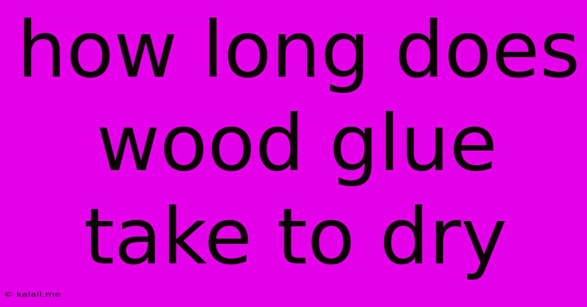 How Long Does Wood Glue Take To Dry