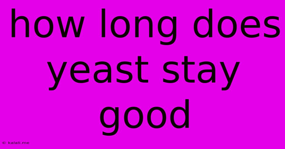 How Long Does Yeast Stay Good
