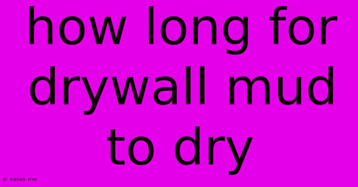How Long For Drywall Mud To Dry