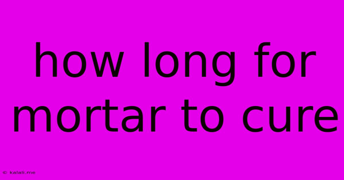 How Long For Mortar To Cure