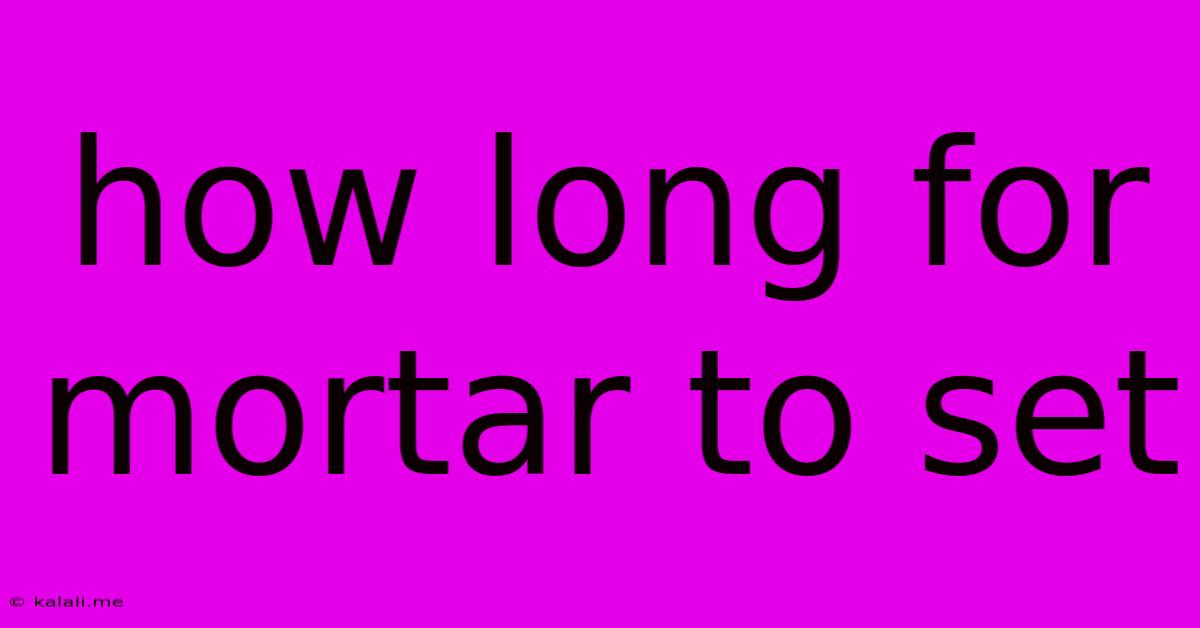 How Long For Mortar To Set