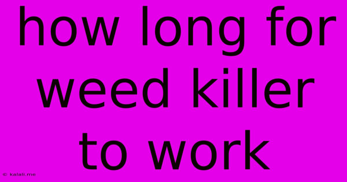 How Long For Weed Killer To Work