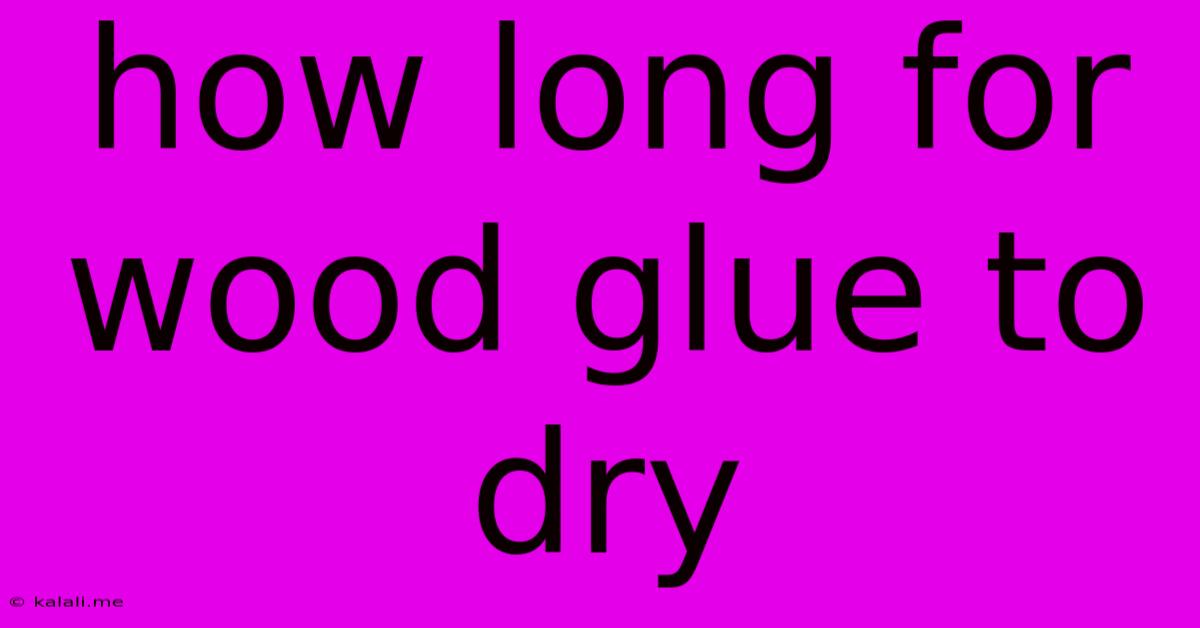 How Long For Wood Glue To Dry