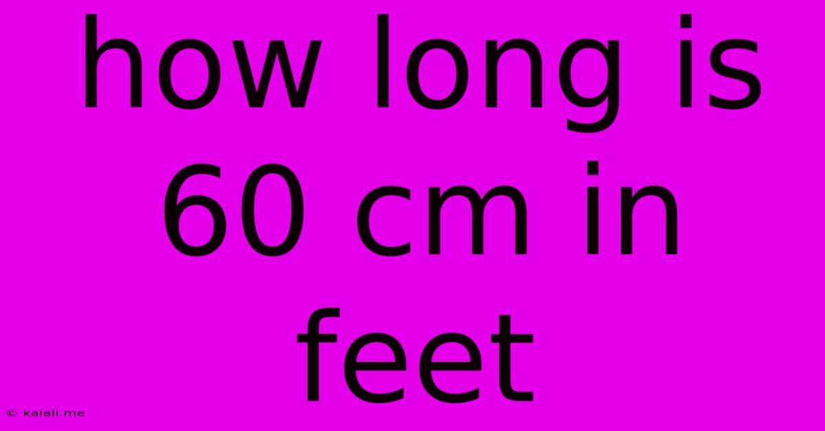 How Long Is 60 Cm In Feet