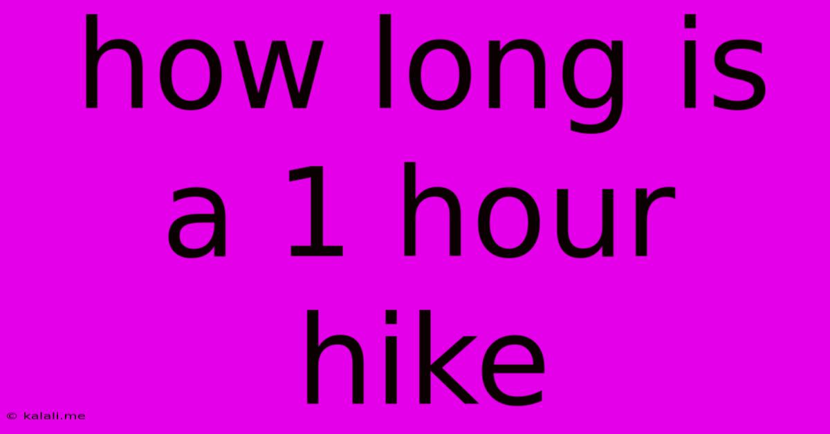 How Long Is A 1 Hour Hike