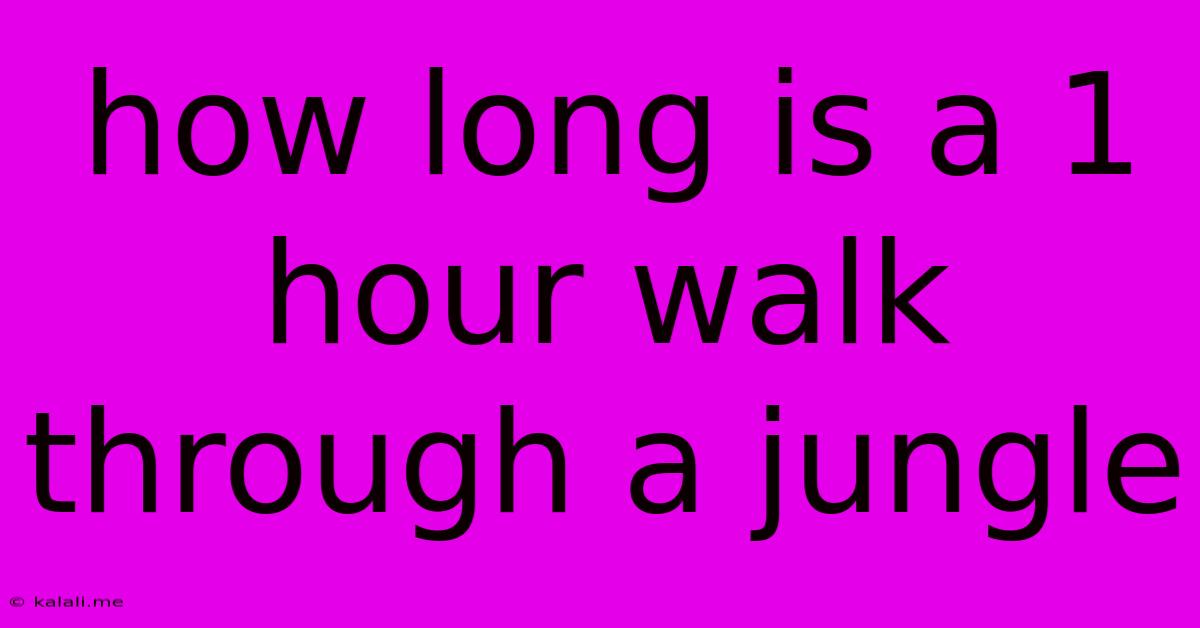 How Long Is A 1 Hour Walk Through A Jungle