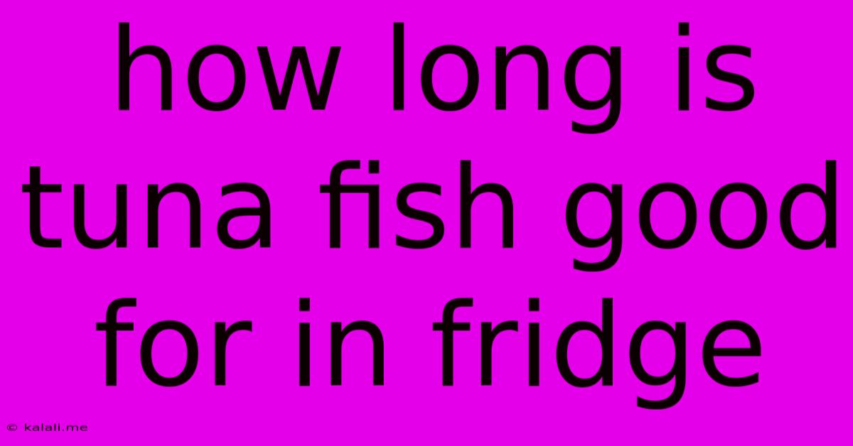 How Long Is Tuna Fish Good For In Fridge