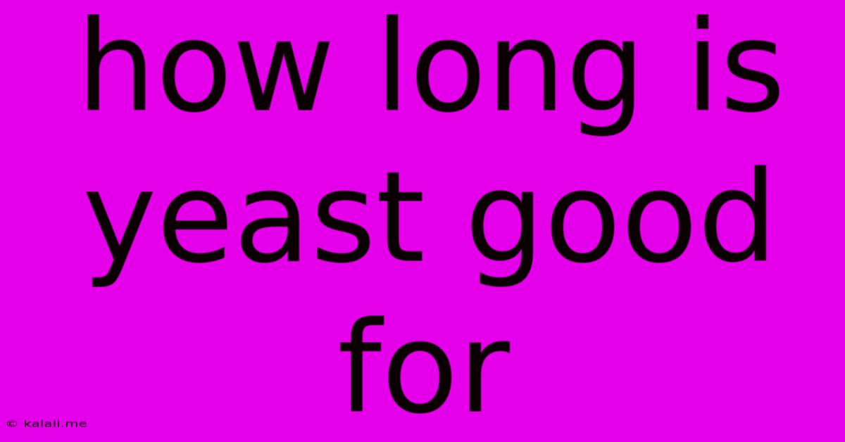 How Long Is Yeast Good For
