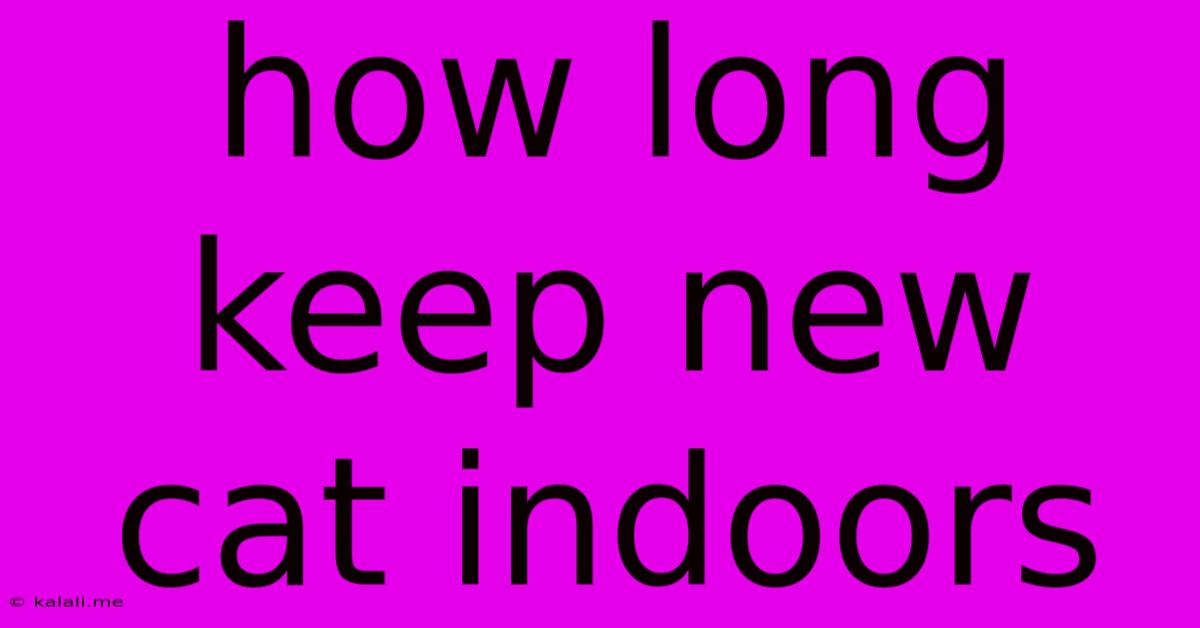 How Long Keep New Cat Indoors